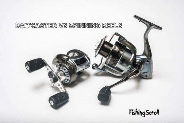 Baitcaster vs Spinning Reels - Detailed Guide {Pros & Cons}