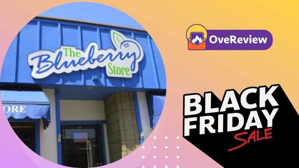 Blueberry black friday
